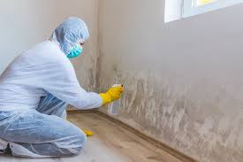 Mold Removal for HVAC Installations in Notasulga, AL